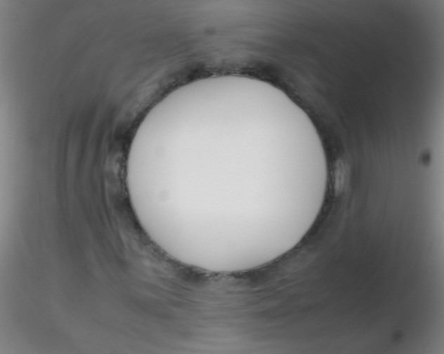 X0000116291059200912211836