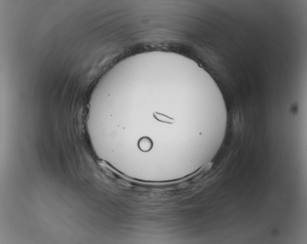 X0000116291060200912211836