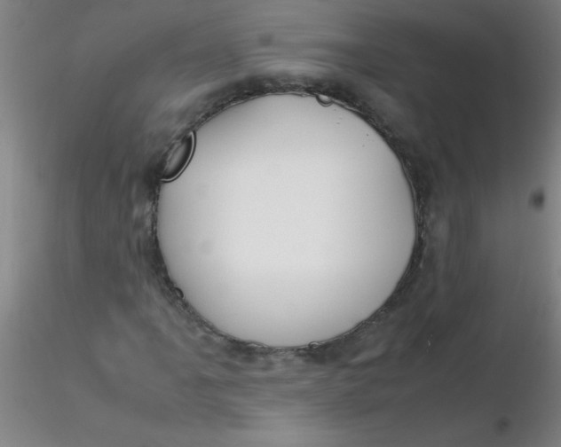 X0000116291061200912211836