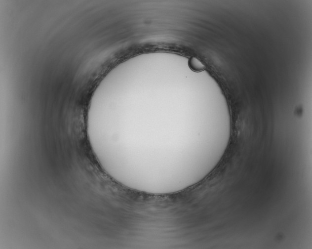 X0000116291062200912211836