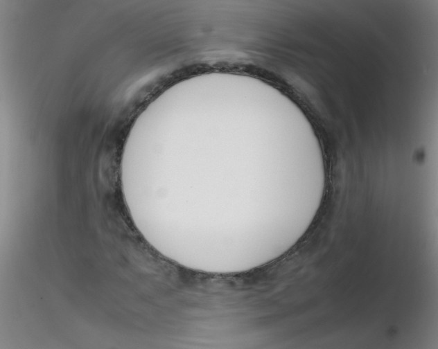 X0000116291063200912211836