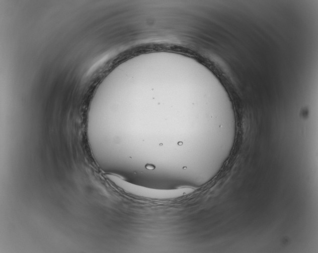 X0000116291064200912211836