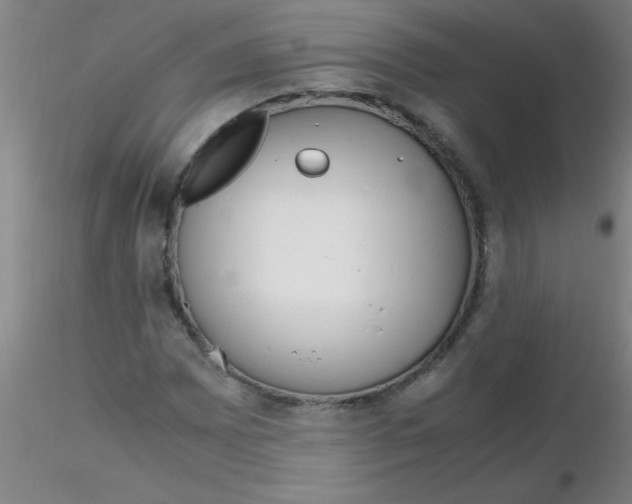 X0000116291065200912211836