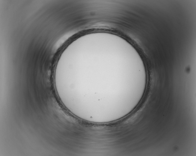 X0000116291066200912211836