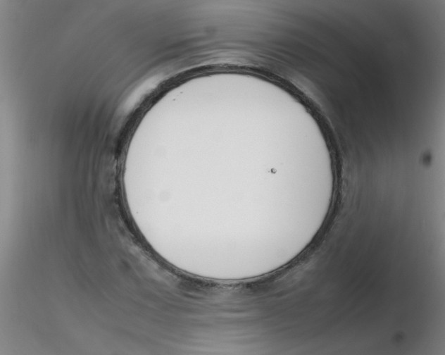 X0000116291067200912211836