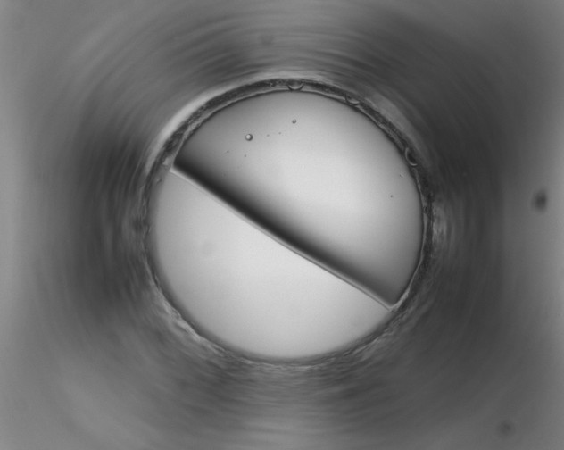 X0000116291068200912211836