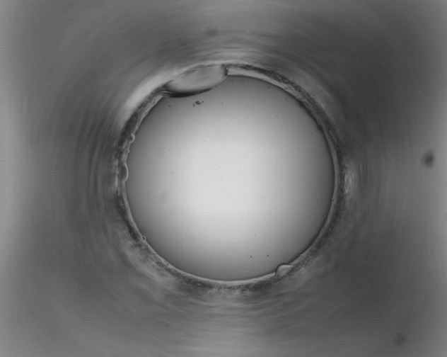 X0000116291069200912211836