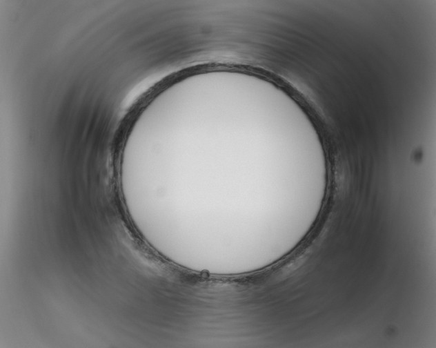 X0000116291070200912211836