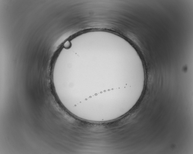 X0000116291071200912211836