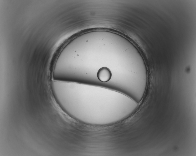 X0000116291072200912211836