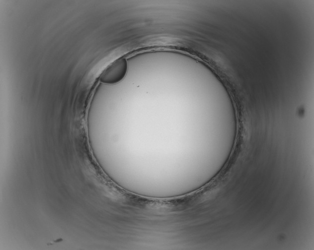 X0000116291073200912211836