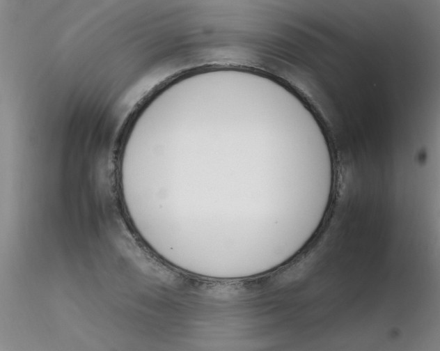 X0000116291074200912211836