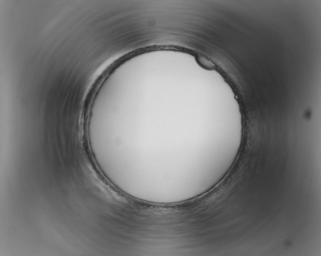 X0000116291076200912211836