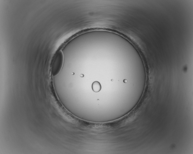 X0000116291077200912211836