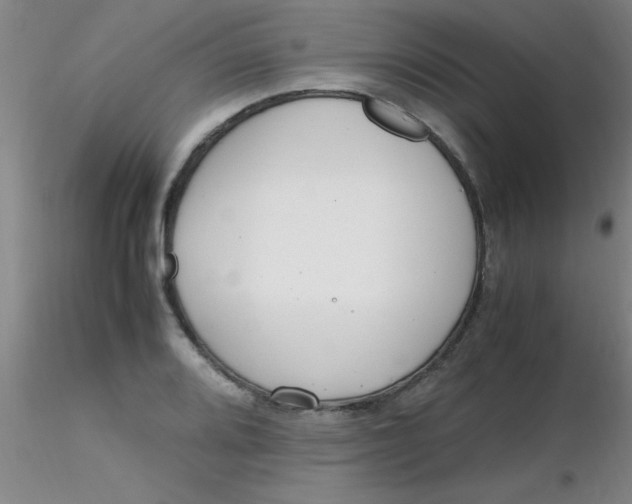 X0000116291080200912211835