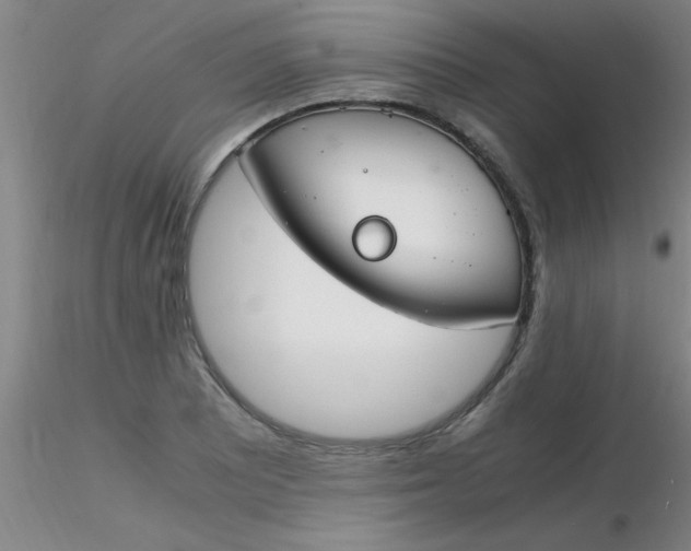 X0000116291081200912211835