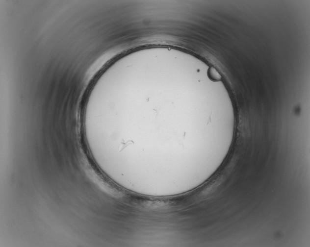 X0000116291082200912211835