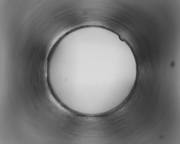 X0000116291084200912211835