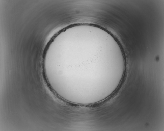 X0000116291085200912211835