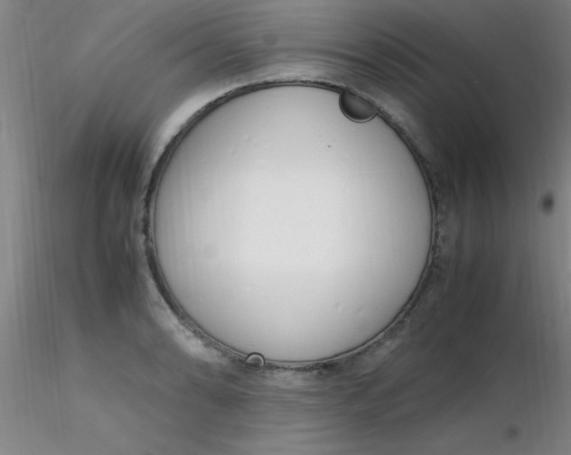 X0000116291086200912211835