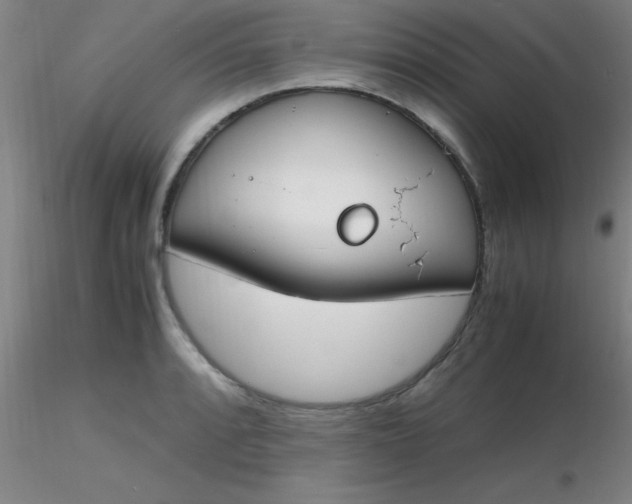 X0000116291088200912211835