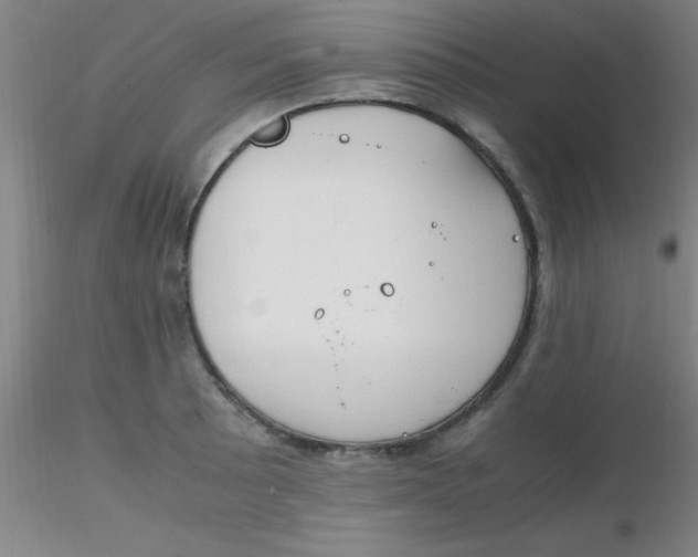 X0000116291089200912211835