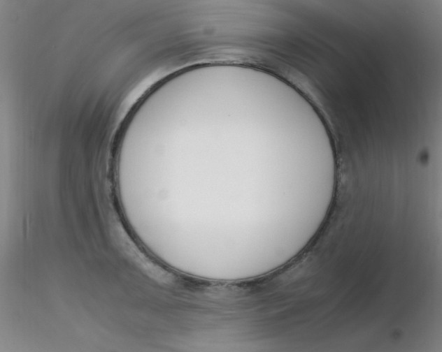 X0000116291091200912211835