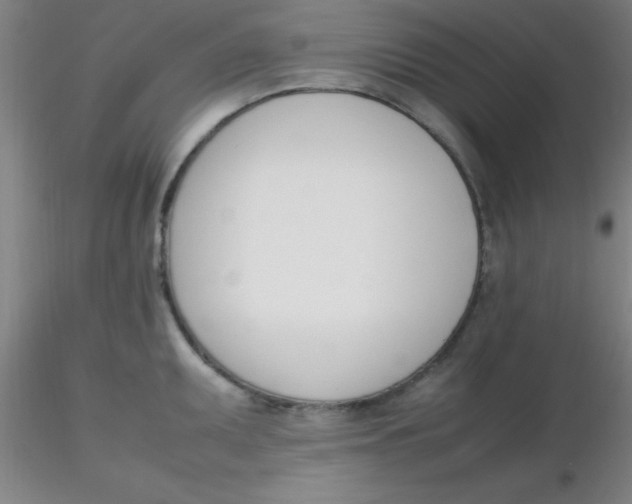 X0000116291095200912211835