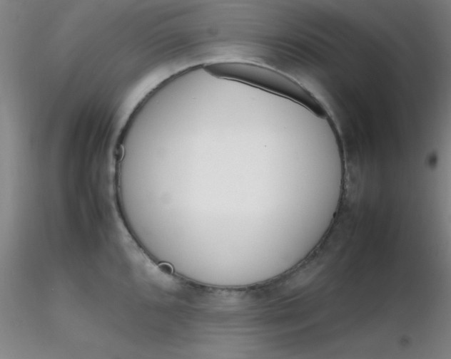 X0000116291096200912211835