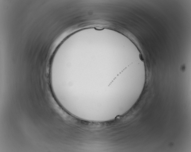 X0000116291099200912211835