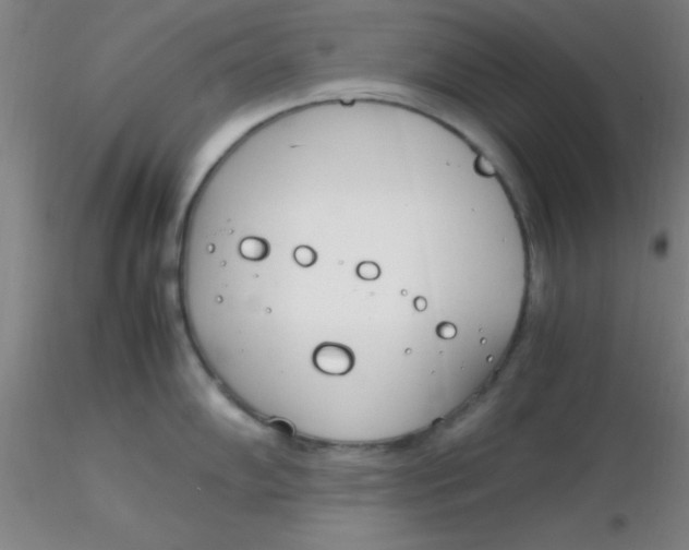 X0000116291102200912211835