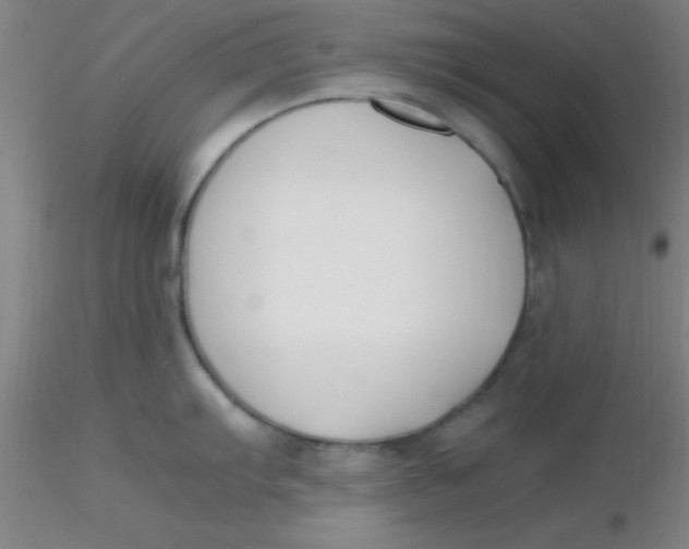 X0000116291103200912211835