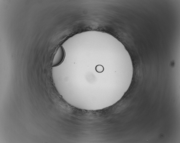 X0000116291105200912211835