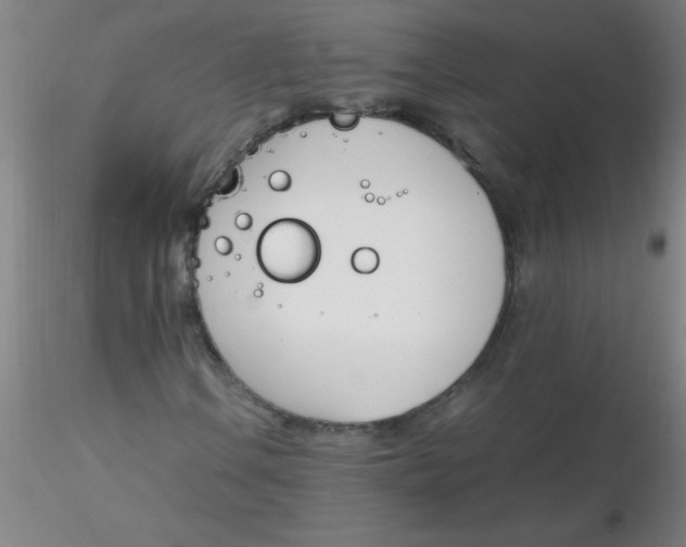 X0000116291106200912211835