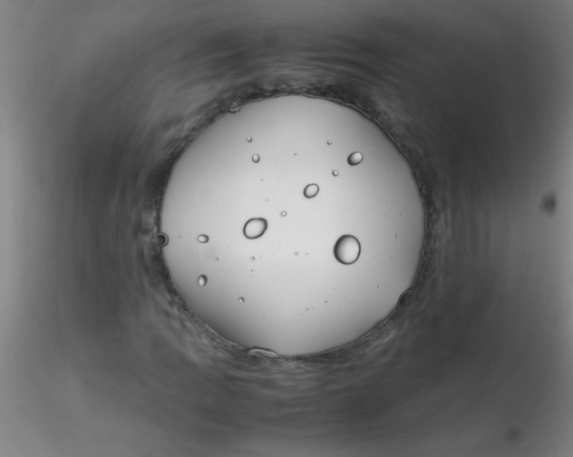 X0000116291109200912211835