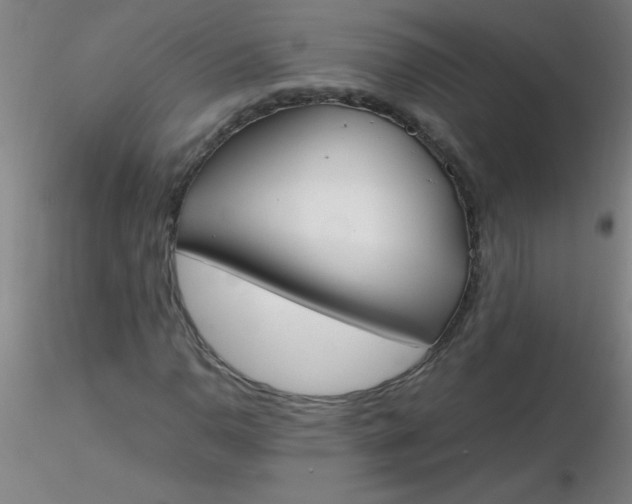 X0000116291110200912211835