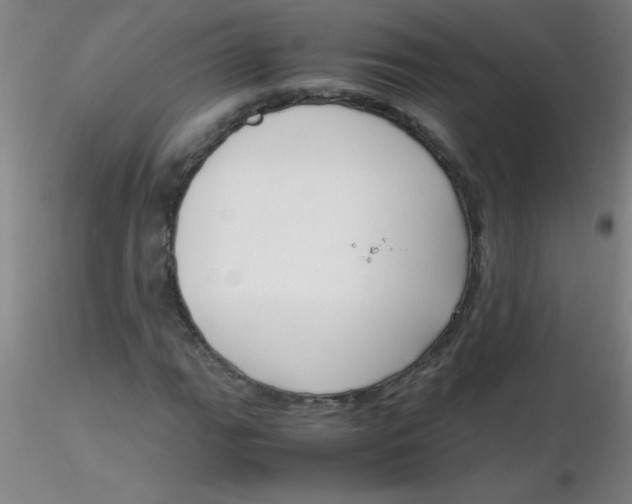 X0000116291111200912211835