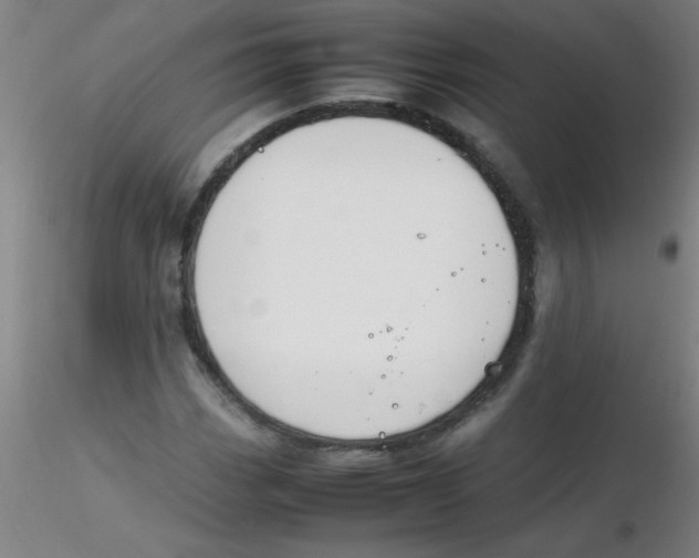 X0000116291113200912211835