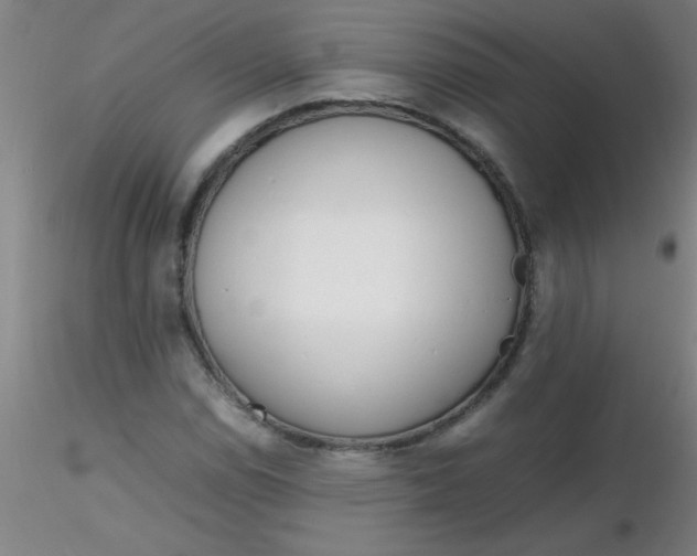 X0000116291114200912211835