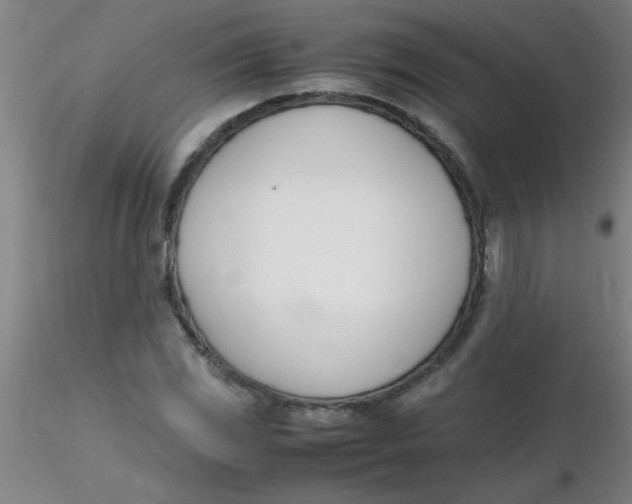 X0000116291117200912211835