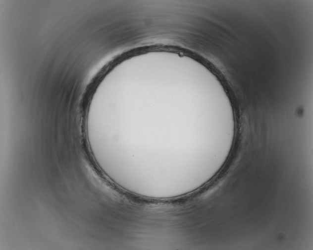 X0000116291118200912211835