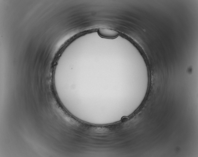 X0000116291119200912211835