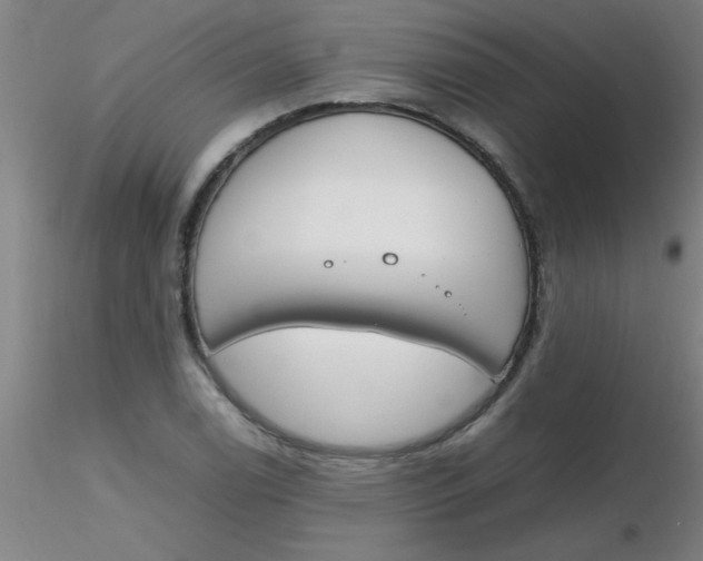 X0000116291122200912211835