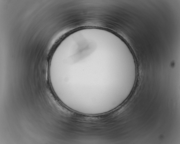 X0000116291123200912211835