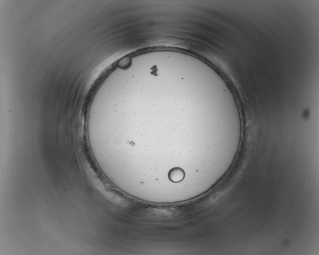 X0000116291125200912211835