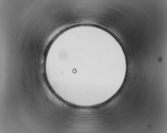 X0000116291126200912211835