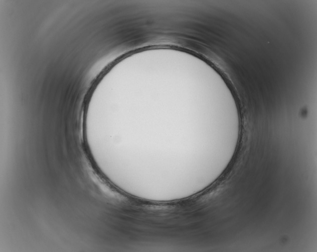 X0000116291127200912211835