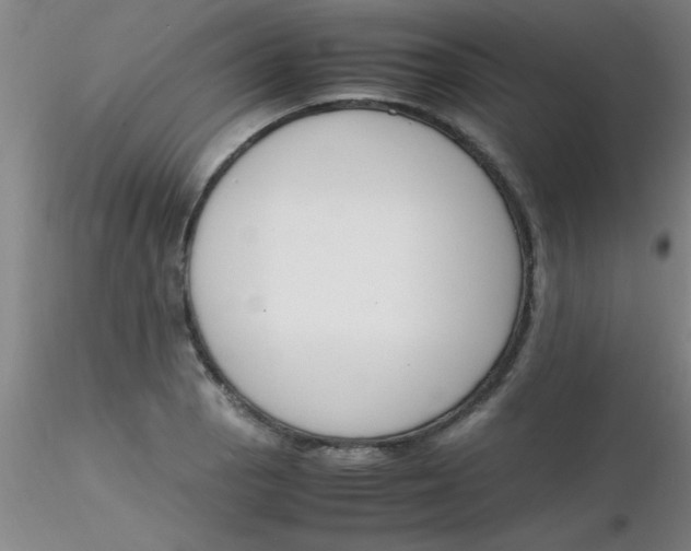 X0000116291129200912211835