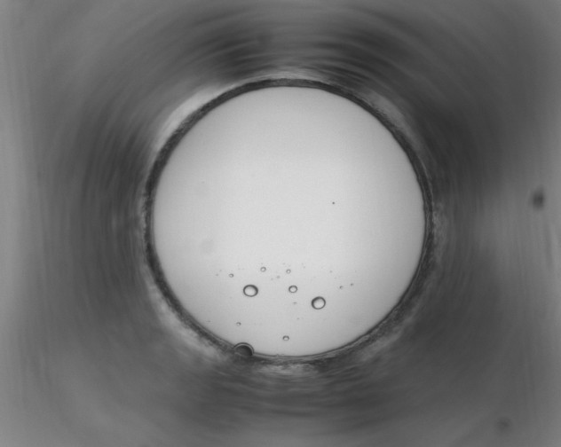 X0000116291133200912211835