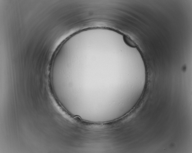 X0000116291134200912211835